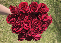 Endless Love Rose Bouquet