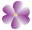 The Sweet Magnolia logo